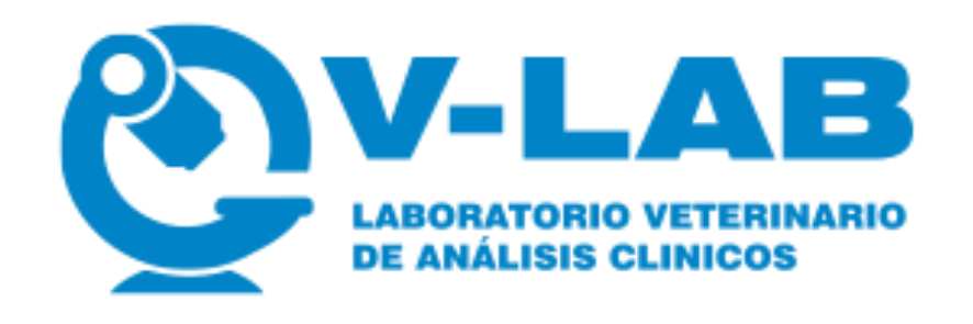 V-Lab Logo